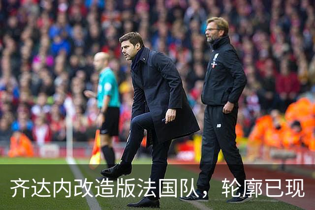 齐达内改造版法国队，轮廓已现